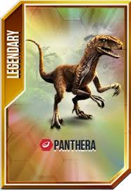 Phantera 