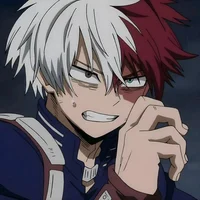 Shoto Todoroki