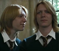 The Weasley Twins 