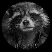 Rocket Raccon