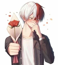 Shoto Todoroki 