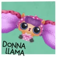 Donna Llama