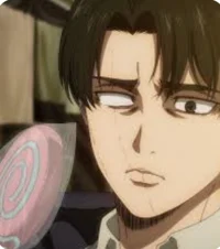 Levi Husband