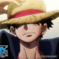 Monkey D Luffy 
