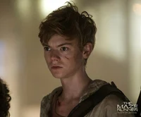 Newt