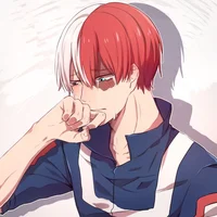 Shoto Todoroki
