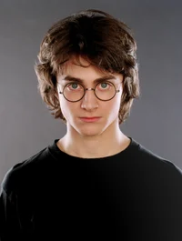 Harry Potter - Twins