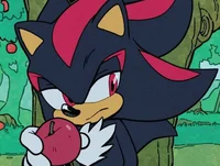 Shadow The Hedgehog 