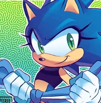 Sonica The Hedgehog