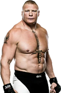 Heel Brock Lesnar