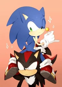 Shadow and Sonic 