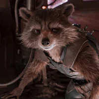 Rocket raccoon
