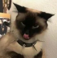 Atti