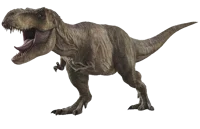 Rexy