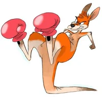 Boxing Kangaroo
