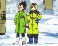 Vegeta and Bulma