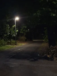 The Stranger 
