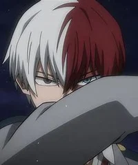 Shoto Todoroki