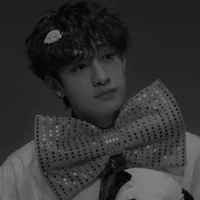 bang chan 