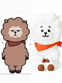 BT21 RJ and DJ