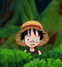 Luffy kid