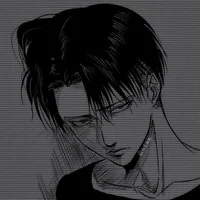 Levi ackerman 