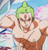 Zoro Roronoa 