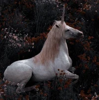 FANTASY-Unicorn