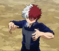 Shoto Todoroki