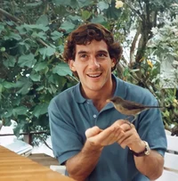 ayrton senna 