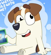 Jack Russel