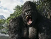 The Rise of Kong