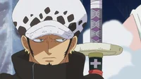 -_ Trafalgar Law _-