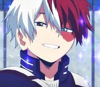 Shoto Todoroki