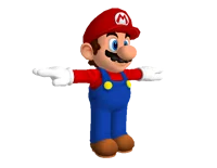 Mario T Pose
