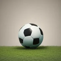 Soccer Life