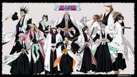 Captains from Bleach