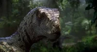 Raptor JP3 fêmea