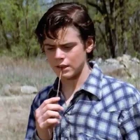 Ponyboy Curtis