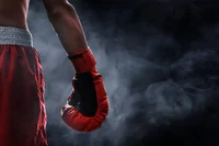 Boxing Carrer RPG