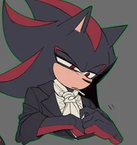 Agent Shadow