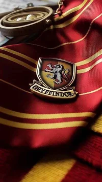 Gryffindor boys