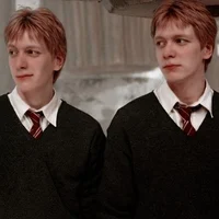 GEMELOS WEASLEY 