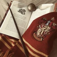 Gryffindor boys 