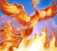 Order of the phoenix