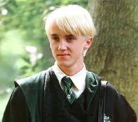 Draco Mafoy