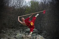 Chinese Martial Arts