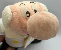 Professor ochanomizu