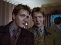 Gemelos Weasley 