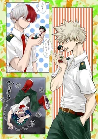 Todoroki and Bakugou